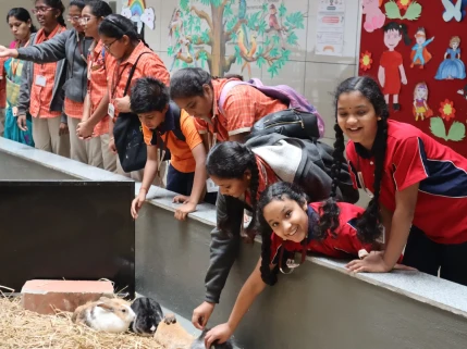Image (Showcase 1)